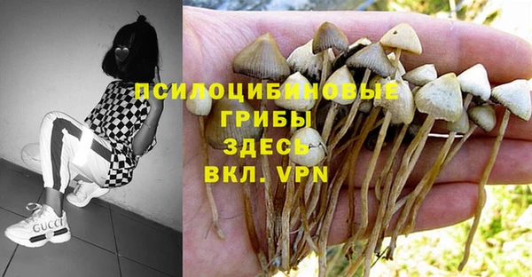 a pvp Михайловка