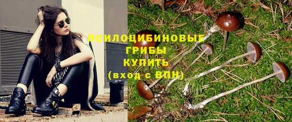 мескалин Михайлов