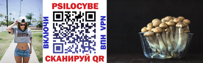 Галлюциногенные грибы Magic Shrooms  МЕГА как зайти  Нефтекумск 