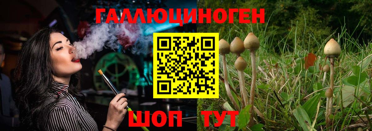 Галлюциногенные грибы мицелий  Псилоцибиновые грибы MAGIC MUSHROOMS  Вход с VPN  Нефтекумск 